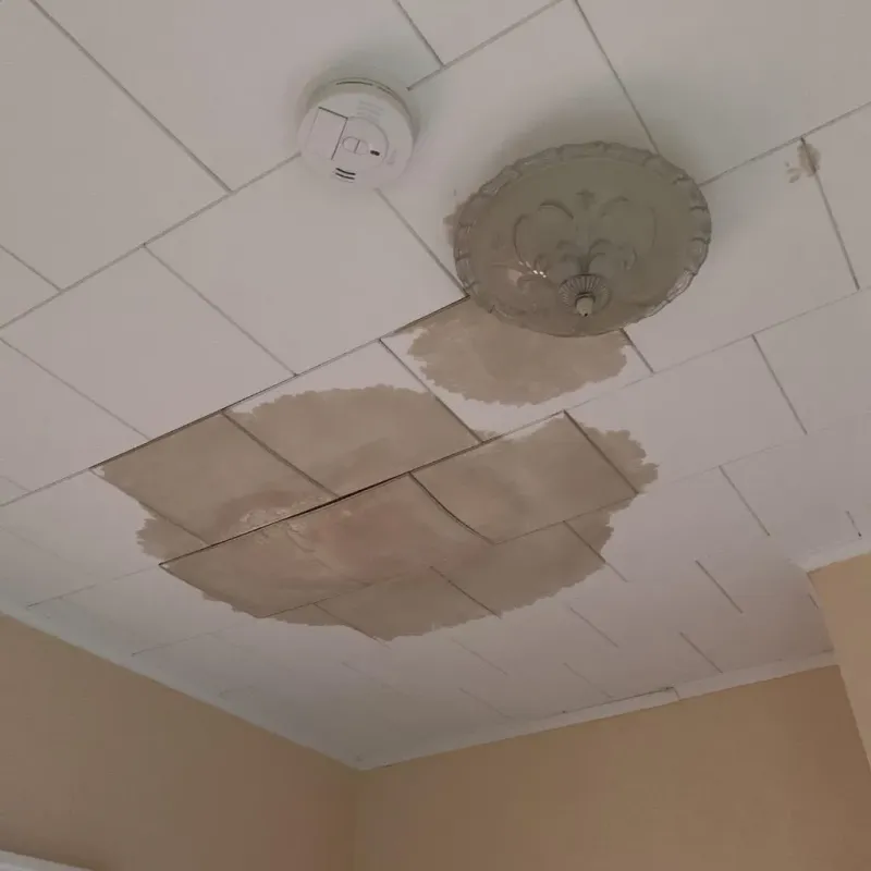 Ceiling Water Damage Repair in Olcott, NY