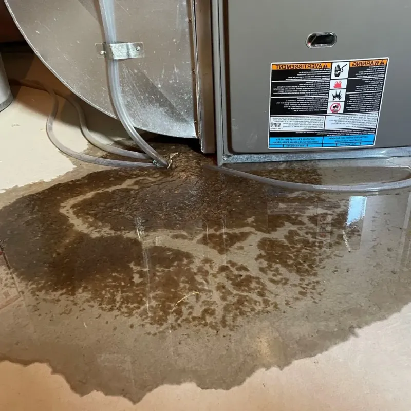 Pipe Burst and Leak Restoration in Olcott, NY