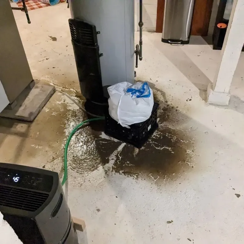 Sewage Backup Cleanup Service in Olcott, NY